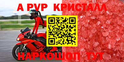 Альфа ПВП Кандалакша