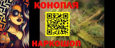 Альфа ПВП Кандалакша