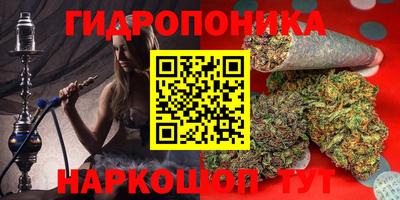Альфа ПВП Кандалакша