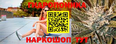 Альфа ПВП Кандалакша