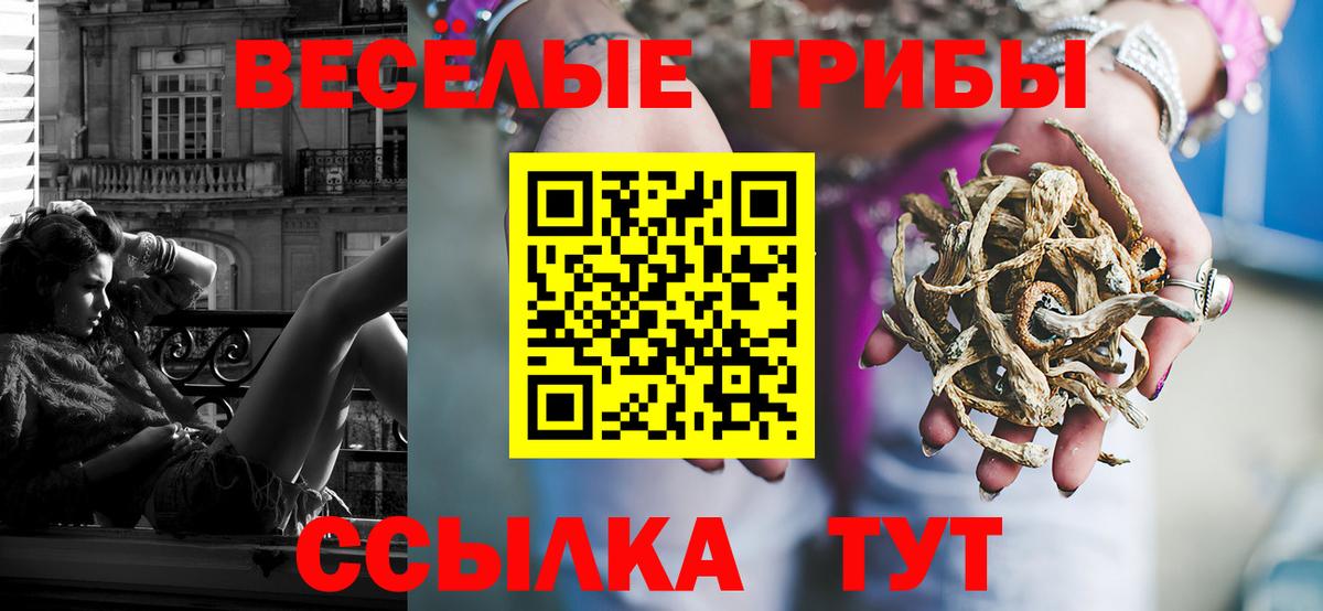 Армавир  Псилоцибиновые грибы MAGIC MUSHROOMS  Галлюциногенные грибы Magic Shrooms  Вход с VPN 