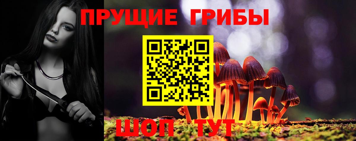 Псилоцибиновые грибы мицелий Армавир